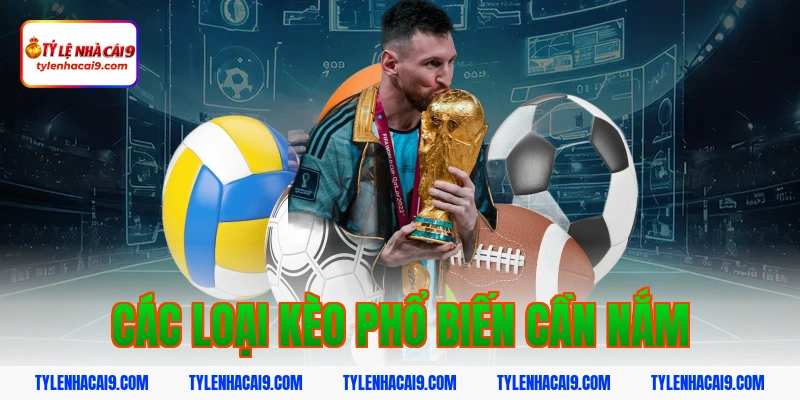 U23 Việt Nam giành hạng ba lịch sử sau trận cầu nghẹt thở 5 Các loại kèo phổ biến cần nắm