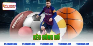 Kinh nghiệm cách đặt kèo bóng rổ dễ hiểu tỷ lệ thắng cao 11 kèo bóng rổ