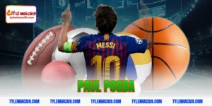 Paul Pogba: Tiền vệ trung tâm tài hoa nhưng quá lận đận 5 paul pogba