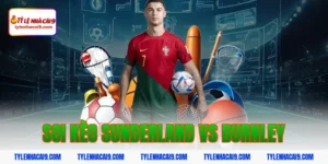 Soi Kèo Sunderland vs Burnley: Nhận Định Hạng Nhất Anh Chính Xác 11 soi kèo sunderland vs burnley