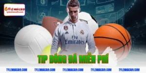 Hướng dẫn cách nhận tip bóng đá miễn phí tỷ lệ thắng 99% 15 tip bóng đá miễn phí