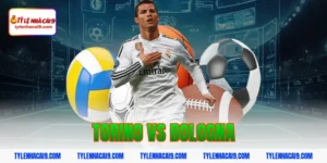 Chuyên gia soi kèo phân tích kết quả trận Torino vs Bologna 7 torino vs bologna