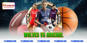 Nhận định đánh giá và soi kèo tỷ số trận Wolves vs Arsenal 5 wolves vs arsenal