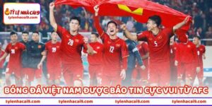 Bóng Đá Việt Nam Được AFC Xác Nhận Báo Tin Cực Vui 1 Bóng Đá Việt Nam Được Báo Tin Cực Vui Từ AFC Xác Nhận