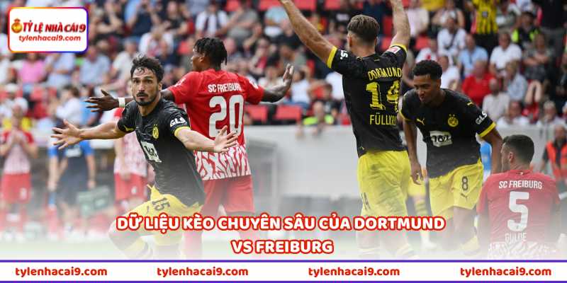 Nhận Định Bóng Đá Dortmund Vs Freiburg Vào 22h30 Ngày 26/4 3 Dữ liệu kèo chuyên sâu của Dortmund vs Freiburg