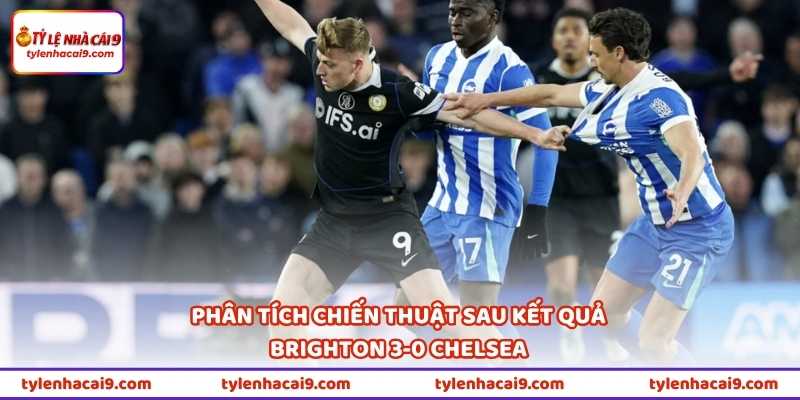 Kết Quả Brighton 3-0 Chelsea - Vì Sao Chelsea Thua Đậm Vậy? 2 Phân tích chiến thuật sau kết quả Brighton 3-0 Chelsea